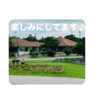 OKINAWAの景色と花②（個別スタンプ：15）
