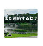 OKINAWAの景色と花②（個別スタンプ：16）