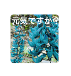 OKINAWAの景色と花②（個別スタンプ：18）