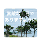 OKINAWAの景色と花②（個別スタンプ：19）