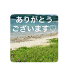 OKINAWAの景色と花②（個別スタンプ：20）