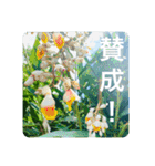 OKINAWAの景色と花②（個別スタンプ：22）