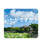 OKINAWAの景色と花②（個別スタンプ：23）