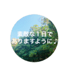 OKINAWAの景色と花②（個別スタンプ：32）