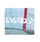 OKINAWAの景色と花②（個別スタンプ：35）