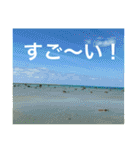 OKINAWAの景色と花②（個別スタンプ：37）