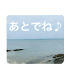 OKINAWAの景色と花②（個別スタンプ：38）