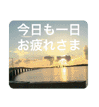 OKINAWAの景色と花②（個別スタンプ：39）