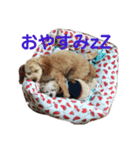 私の愛ゆえ（個別スタンプ：3）