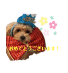 私の愛ゆえ（個別スタンプ：7）