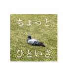 唐揚げにしたろか？（個別スタンプ：4）