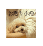 唐揚げにしたろか？（個別スタンプ：13）