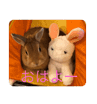 むぎちゃん！！！！（個別スタンプ：1）