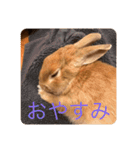 むぎちゃん！！！！（個別スタンプ：3）