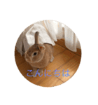 むぎちゃん！！！！（個別スタンプ：9）