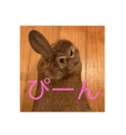 むぎちゃん！！！！（個別スタンプ：10）
