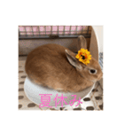 むぎちゃん！！！！（個別スタンプ：15）