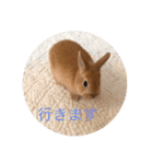 むぎちゃん！！！！（個別スタンプ：16）
