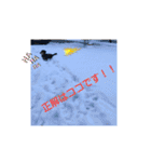 クロマメの日常その2（個別スタンプ：21）