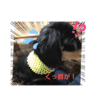 クロマメの日常その2（個別スタンプ：22）