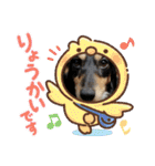 クロマメの日常その2（個別スタンプ：25）