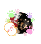 クロマメの日常その2（個別スタンプ：27）