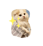 ナムルでしゅ（個別スタンプ：6）