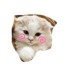 ナムルでしゅ（個別スタンプ：8）