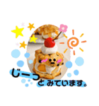 スイーツなきもち♪〜けいご（個別スタンプ：23）