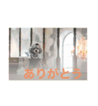 えいるいわんこ（個別スタンプ：15）