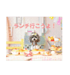 えいるいわんこ（個別スタンプ：38）