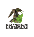 Flying Bird 510（個別スタンプ：3）
