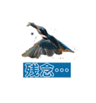 Flying Bird 510（個別スタンプ：7）