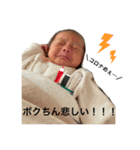 おしゃべりーとスタンプ（個別スタンプ：15）