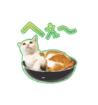 きなちゃんと一緒！ステッカー（個別スタンプ：8）