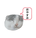たいがちゃん❤︎（個別スタンプ：3）