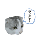 たいがちゃん❤︎（個別スタンプ：6）