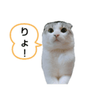 たいがちゃん❤︎（個別スタンプ：7）