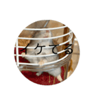 レッツゴーハムスター（個別スタンプ：4）