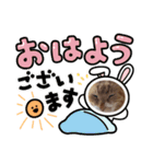トラおじさん（個別スタンプ：2）