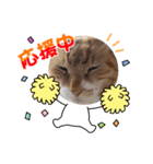 トラおじさん（個別スタンプ：8）