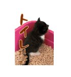 霧のスタンプ第一弾（個別スタンプ：6）