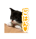 霧のスタンプ第一弾（個別スタンプ：10）