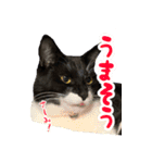 霧のスタンプ第一弾（個別スタンプ：11）