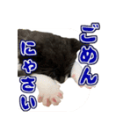 霧のスタンプ第一弾（個別スタンプ：13）