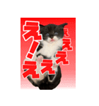 霧のスタンプ第一弾（個別スタンプ：16）