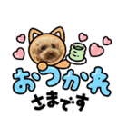 HACHI★PUPU stamp①（個別スタンプ：4）