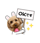 HACHI★PUPU stamp①（個別スタンプ：5）