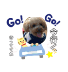HACHI★PUPU stamp①（個別スタンプ：8）