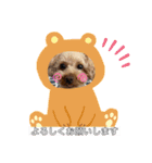 HACHI★PUPU stamp①（個別スタンプ：13）